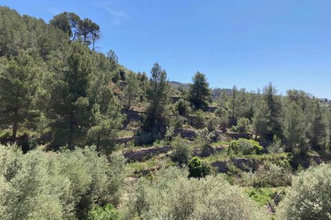 Landejendom i El Perello, Tarragona, El Perello - € 99.000 | Ref: Finca vistas - foto 49